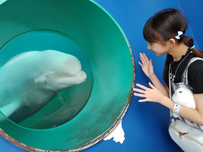 Twitterのコスプレ画像32