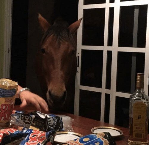 equine__dentist's tweet photo. we all got that one homie that’s chill as fuck but is harboring a deep indescribable sadness https://t.co/u3mo0HhtPF