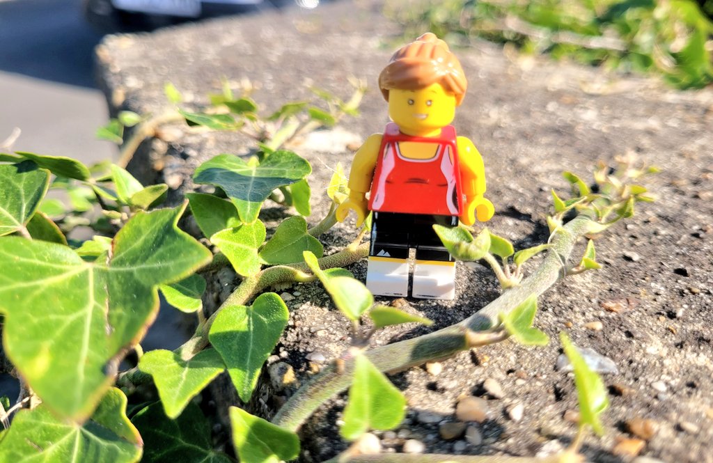 Running2staysa1's tweet photo. Dragged myself out for a run, then sorted kids before heading to a sensory workshop by @Ohheyitstalya at @Bookbugsdragon1 absolutely brilliant morning, few light bulb moments & looking forward to more. #running2keepthecrazyaway #legorunbuddy #morningmiles #sensoryplay #bookbugs https://t.co/0poMAk7Kxi