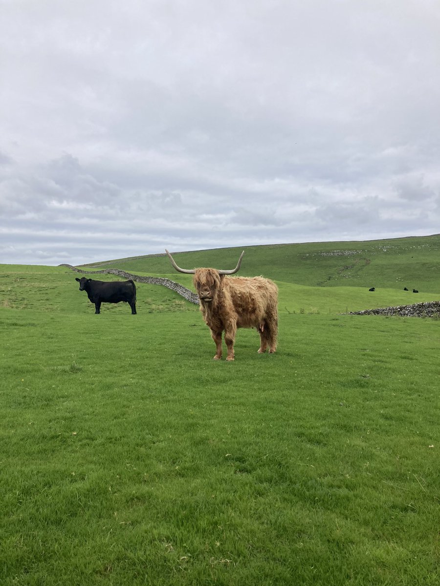 Beth Crumpton tweet media