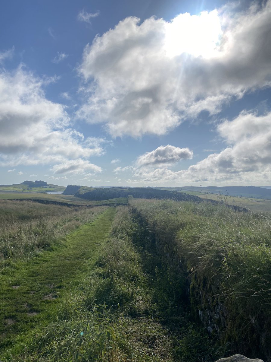 Beth Crumpton tweet media