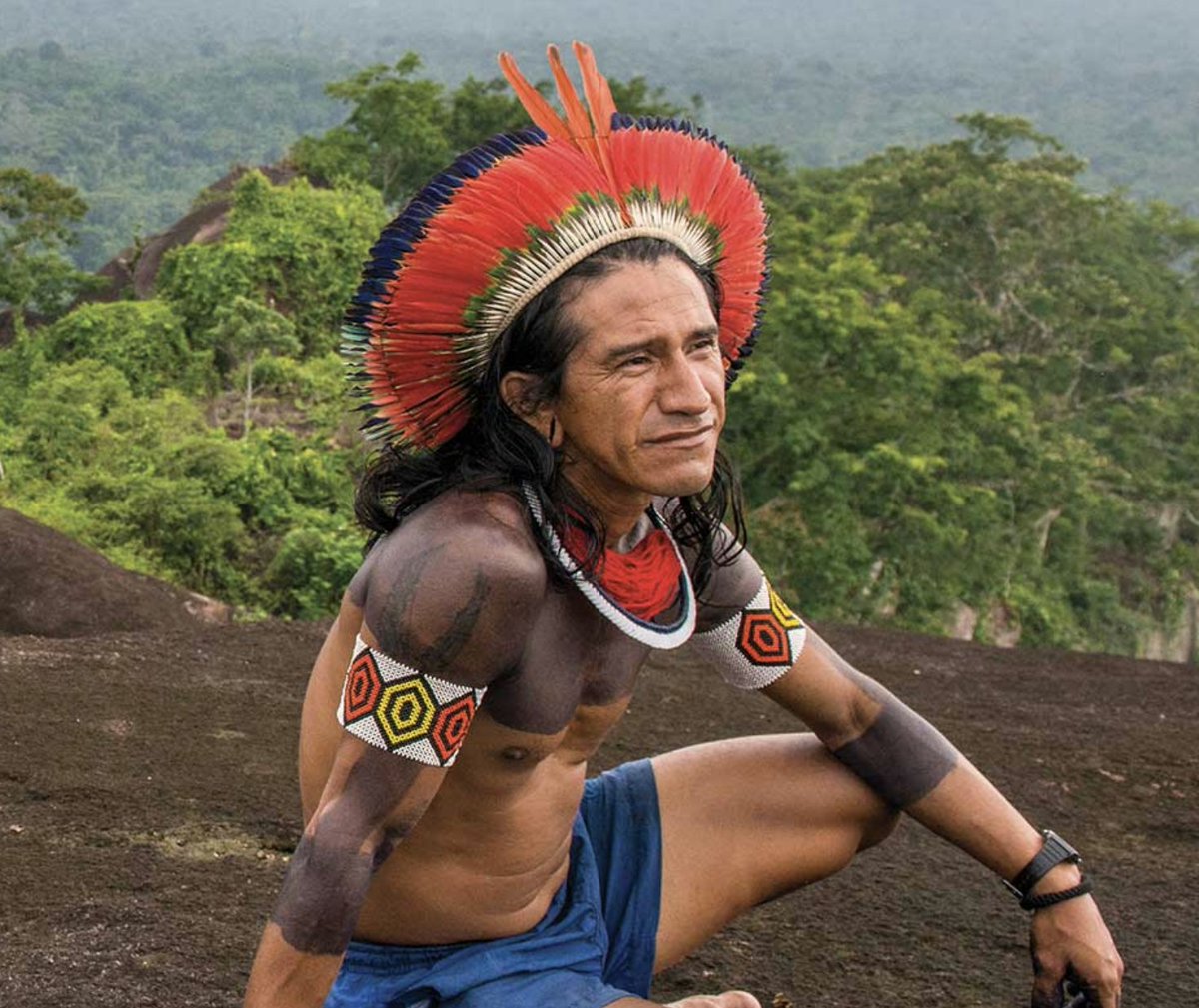 Project Drawdown tweet media