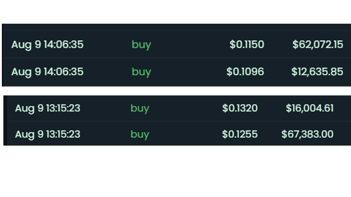 BenCryptoShow's tweet photo. Lot of whales buying #HarryPotterObamaSonic10Inu... 

They're coming in heavy, and they're bring the firepower https://t.co/1R4cfAylMQ