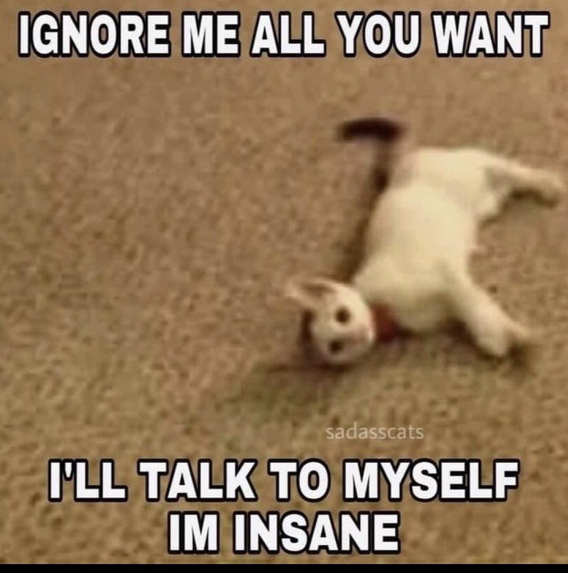 chaoticcatpics's tweet image. 