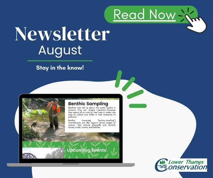 LTVCA's tweet photo. Stay in the know! Introducing our new Newsletter, the August edition is now live on our website!

Inside this issue: Benthic Sampling, Upcoming Events, The Next Generation, Ecological Land Classification, and Spotted
https://t.co/rgIcawyqgG https://t.co/iYb3JbqVw6