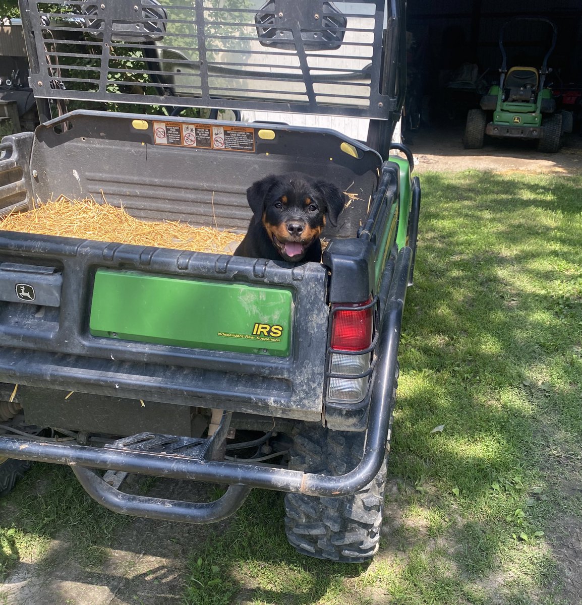 Dave🃏 tweet media