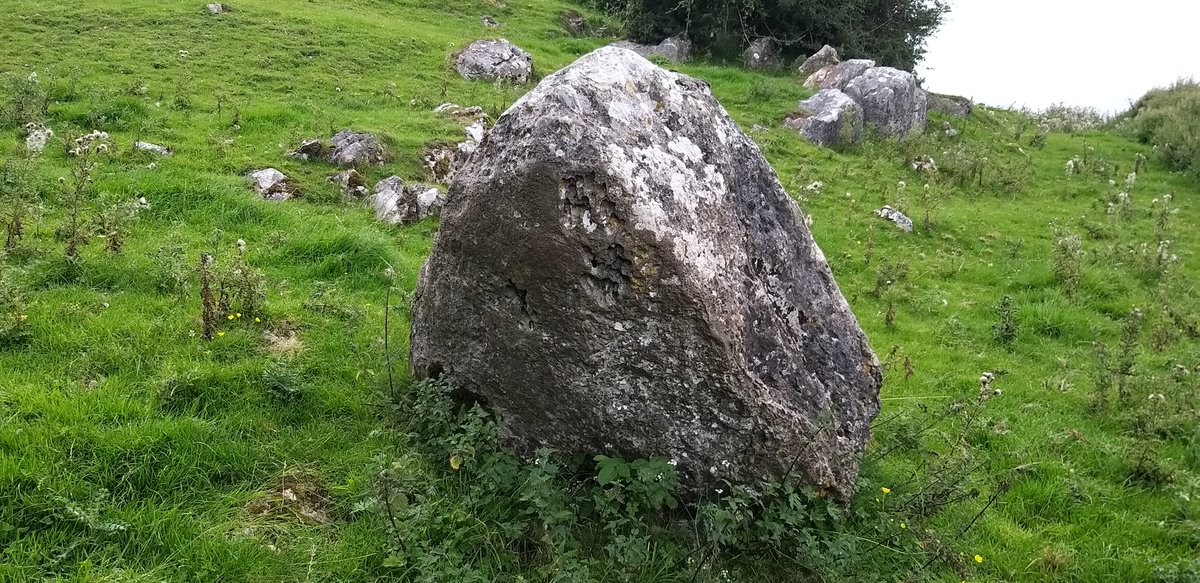 BardCumberland's tweet image. After visiting the Urswick Dolmen we attempted the footpath (below), but 2 locked gates, 4 horse paddocks with electric fences, and missing signs, made for a difficult walk.

#footpaths #countryside #cumbria