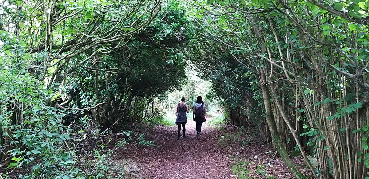 BardCumberland's tweet image. After visiting the Urswick Dolmen we attempted the footpath (below), but 2 locked gates, 4 horse paddocks with electric fences, and missing signs, made for a difficult walk.

#footpaths #countryside #cumbria