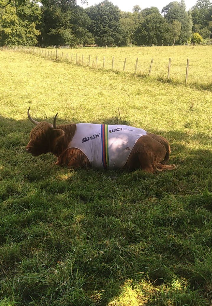 Stephen Park CBE tweet media