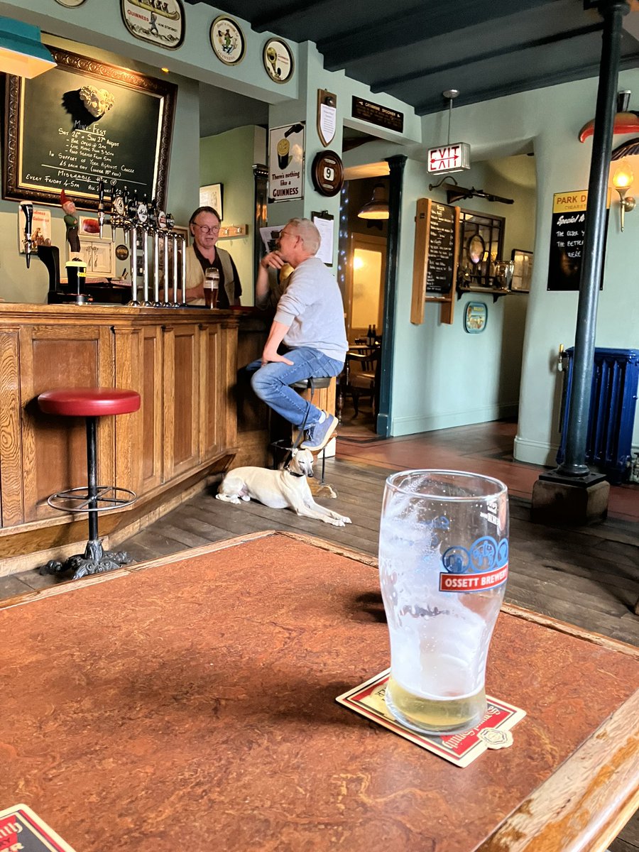 Pub 2613, Grapes, Slingsby. Quirky and quite brilliant. Dog makes a statement, rat in urinals, parrot eats biscuit, toucans galore, two potential Poppy’s, proper pizzas, Billy Joel and a cracking Yorkshire Blonde. Whole village is in. Pub like it should be.