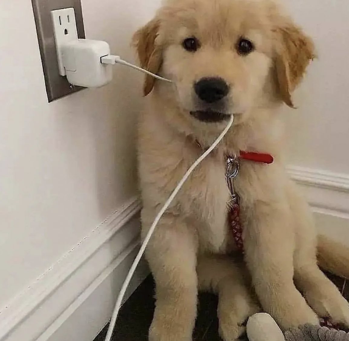 เบบี๋เลิกเล่นเกมไดแลว มากอดเค้าบ้าง