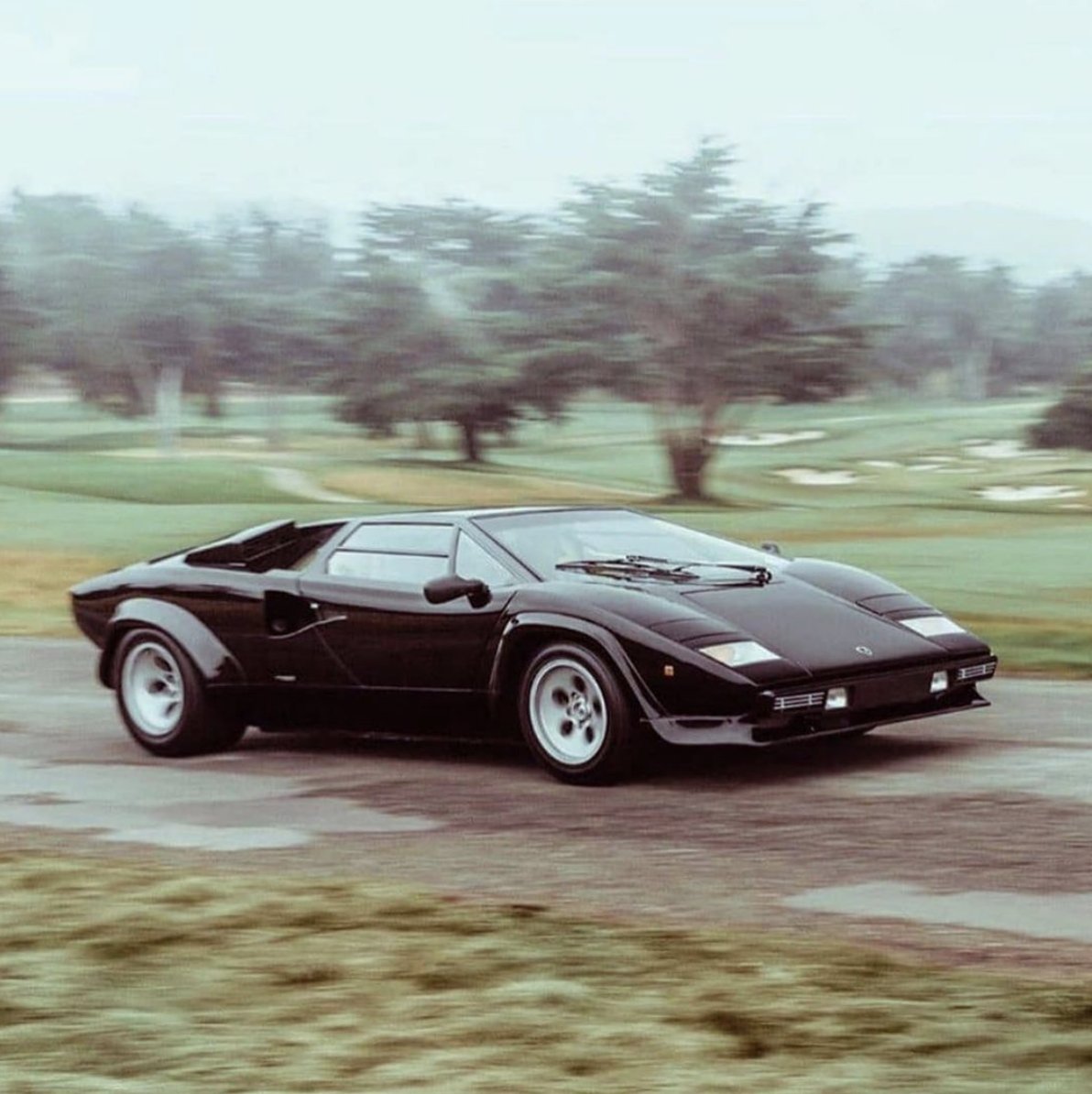 PALM REPORT ☼ tweet media