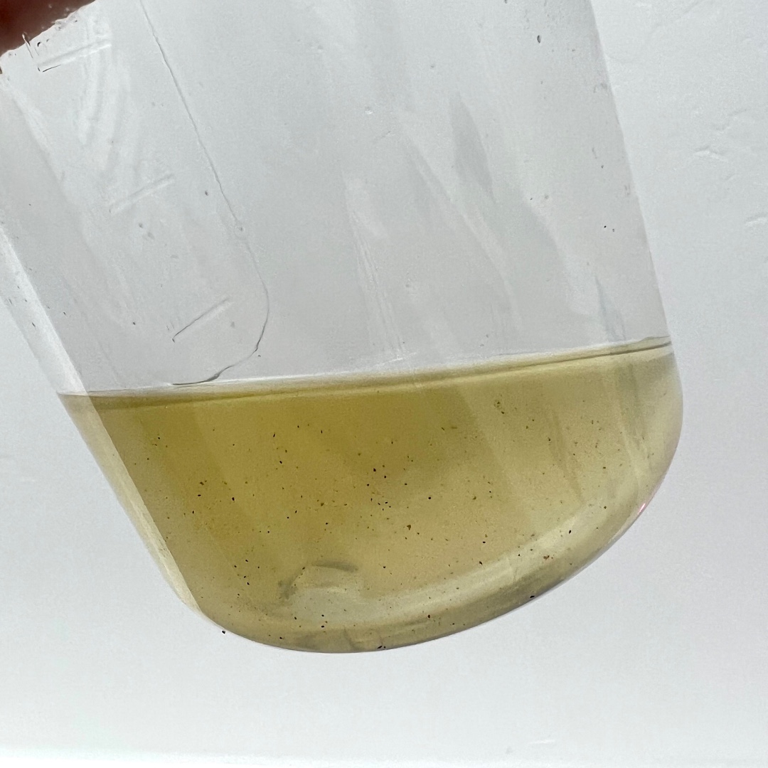 foreverbyash's tweet photo. What's in your GUNK from a Hydrofacial?👀
-  dead skin 
-  oils 
-  pores 
-  makeup 
-  dirt 
-  bacteria https://t.co/qMjvWek4er