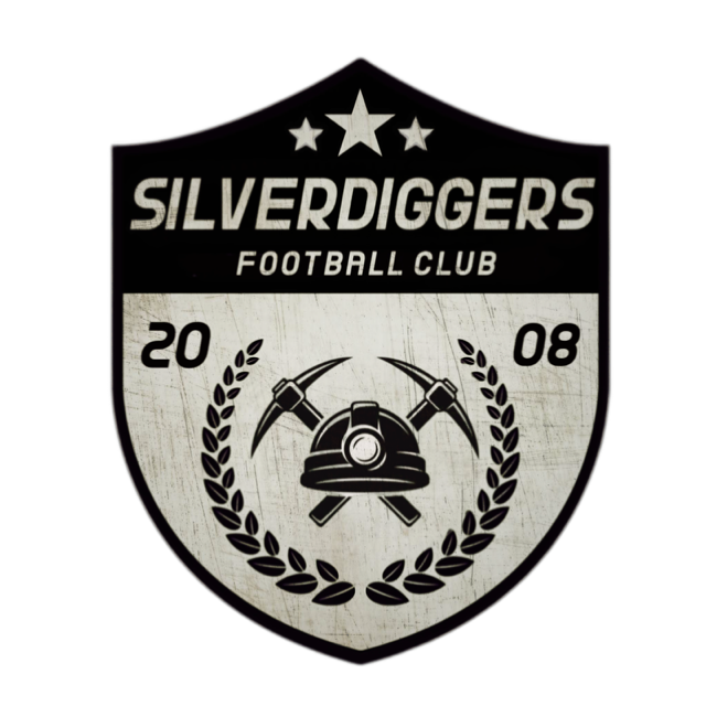 FPL Silverdiggers FC tweet media