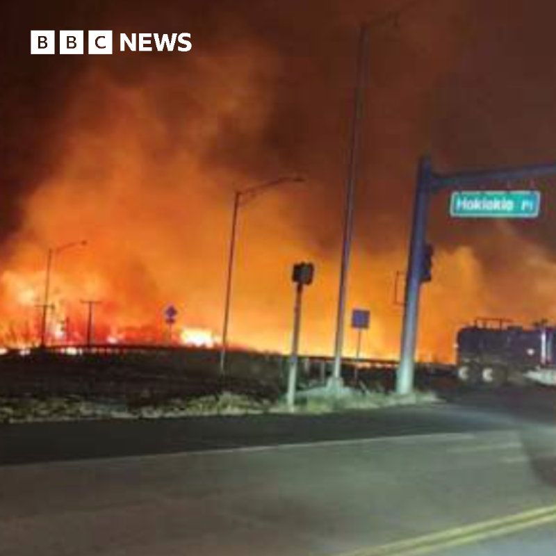 BBCWorld's tweet photo. Residents flee into sea to escape Hawaii wildfires

Follow live to see "apocalyptic scenes" in the historic town of Lahaina