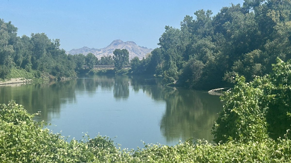 RD108Irrigation's tweet photo. Good morning - The view from the levee on Wilson Bend Road. Have a great day! https://t.co/zxEVhVfaXb