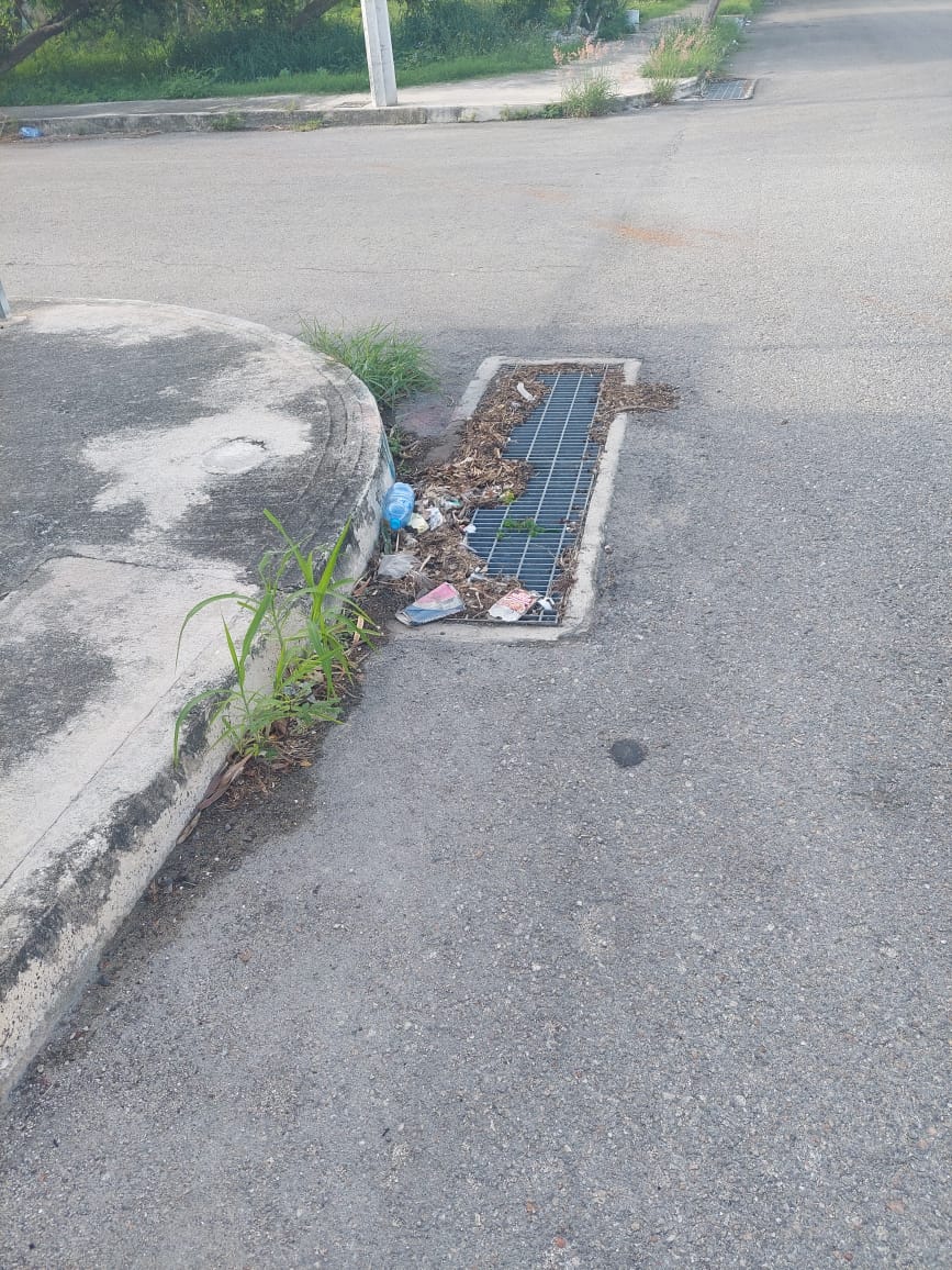 En una comunidad la reciprocidad es vital, se necesita del apoyo de vecinos-autoridad para mantener las coladeras SIN BASURA y así evitar futuras inundaciones <a href="/AyuntaMerida/">Ayuntamiento Mérida</a>
<a href="/Comitevamericas/">Comité Américas Mid</a> <a href="/JAPAYOficial/">Junta de Agua Potable y Alcantarillado de Yucatán</a> <a href="/Yucatanall/">YUCATANALL</a>