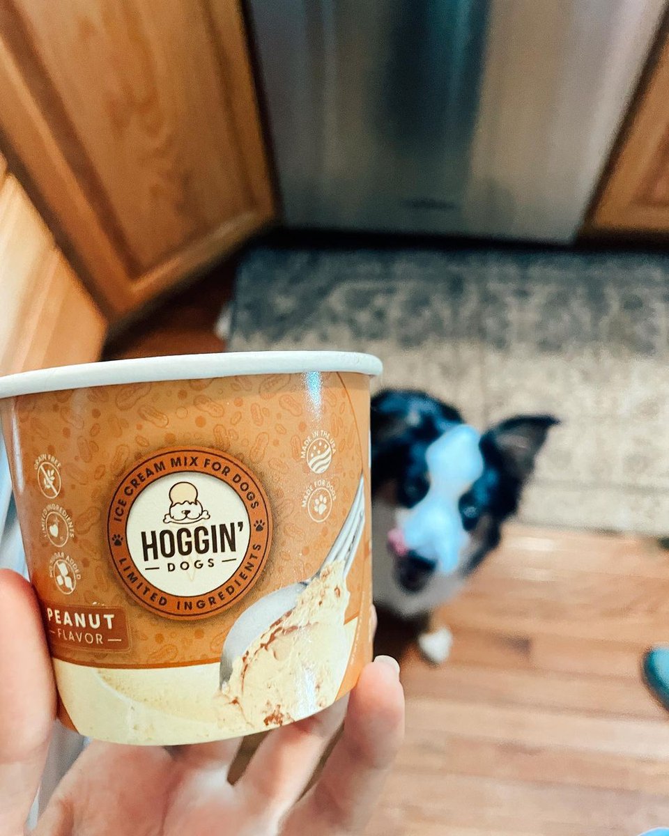 Hoggin dogs! our sugar free ice cream😍

#icecreamfordogs #dogicecream #icecream #doglover