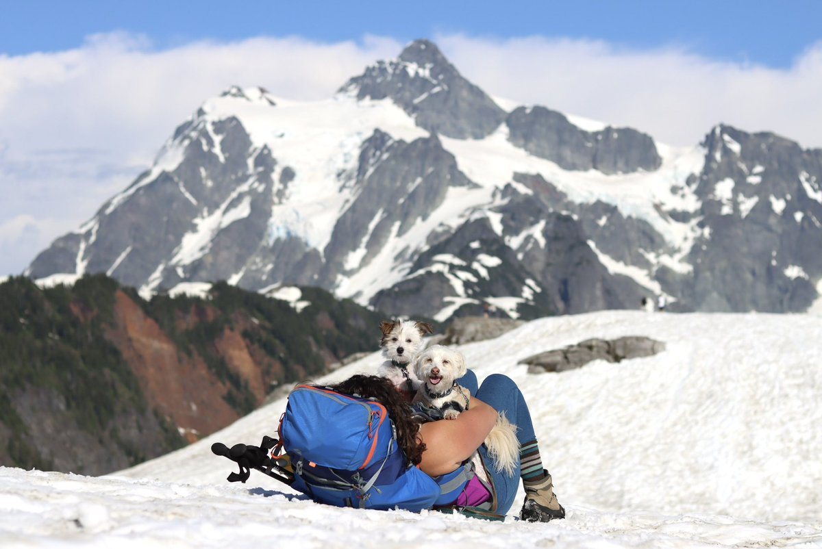 Our <a href="/KING5Seattle/">KING 5 News</a> investigative team is expanding! Come work with me + the best coworkers <a href="/SFrameK5/">.</a> <a href="/CJIngalls/">Chris Ingalls</a> &amp; <a href="/Kellenphotog/">Kellen Harrel</a>. We have support from <a href="/JulieWolfe/">JulieWolfe</a> to pursue stories that dig deep, expose injustice &amp; drive change. Also, WA is paradise.🌲🌊🏔️🏕️ tegna.jobs.net/job/J3W1BP6G80…