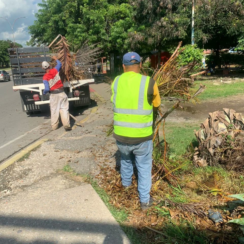 Instit12Febrero's tweet photo. #09Ago 🚧👷Hoy miércoles se realizó Recolección de desechos orgánicos en:

📍 Av. Intercomunal La Mora
📍 Av. Francisco de Miranda.

#GobernamosParaServir #RibasVuelveAsonreir https://t.co/6lqfzZoyeT