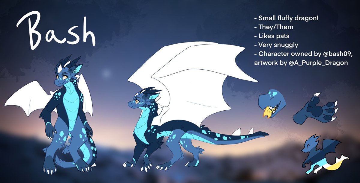Reference Sheet for Bash the dragon ✨🐉