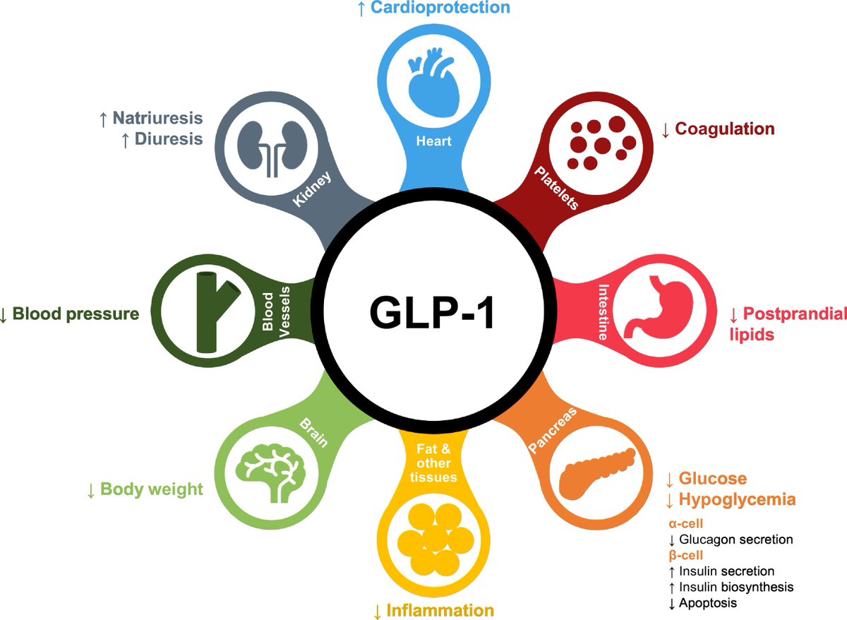 Gunnar Henrik Heine (@gunnar_heine) on Twitter photo This is the end of obesity, as we know it.
SELECT found 20 % CVE reduction with semaglutid in secondary ASCVD prevention in overweight / obese patients w/o diabetes mellitus
ml-eu.globenewswire.com/Resource/Downl…
sciencedirect.com/science/articl…
Full puplications follows later in 2023!
<a href="/LincoffMichael/">A. Michael Lincoff, MD</a> This is the end of obesity, as we know it.
SELECT found 20 % CVE reduction with semaglutid in secondary ASCVD prevention in overweight / obese patients w/o diabetes mellitus
ml-eu.globenewswire.com/Resource/Downl…
sciencedirect.com/science/articl…
Full puplications follows later in 2023!
<a href="/LincoffMichael/">A. Michael Lincoff, MD</a>