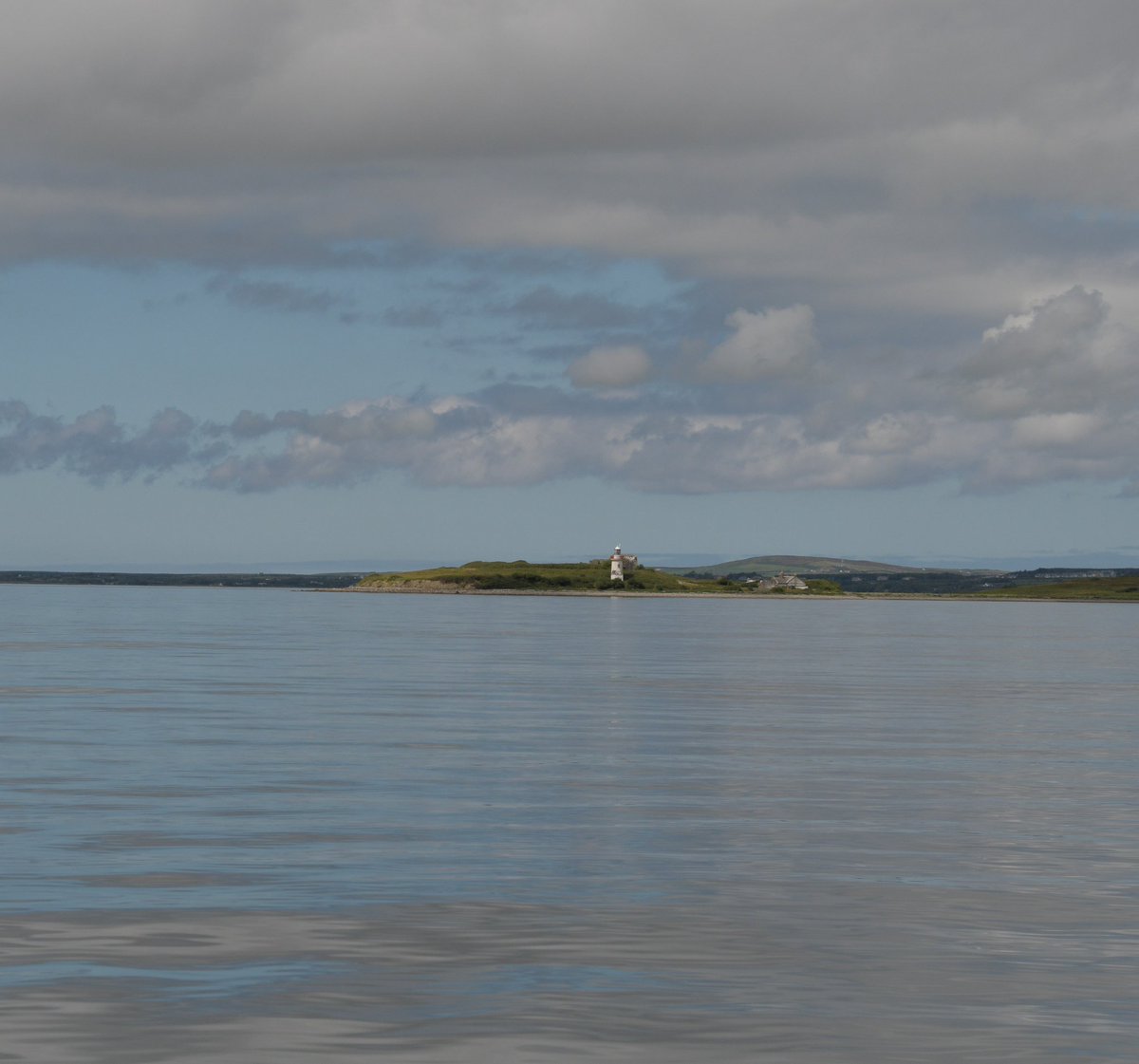 Amazing conditions for some photoID work and, #eDNA sampling foor the @ewhale_dna project in the Shannon estuary today. Great team effort @rogan_e , Allen Whitaker and @pterojxcktyl 💪🏿 @uccBEES