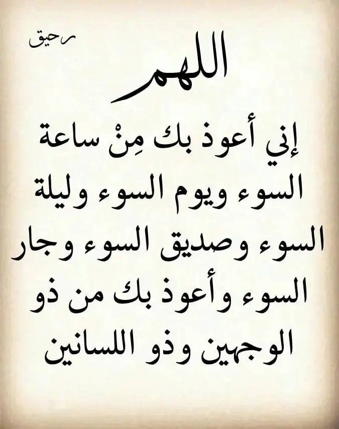 اسيل اسيل tweet media