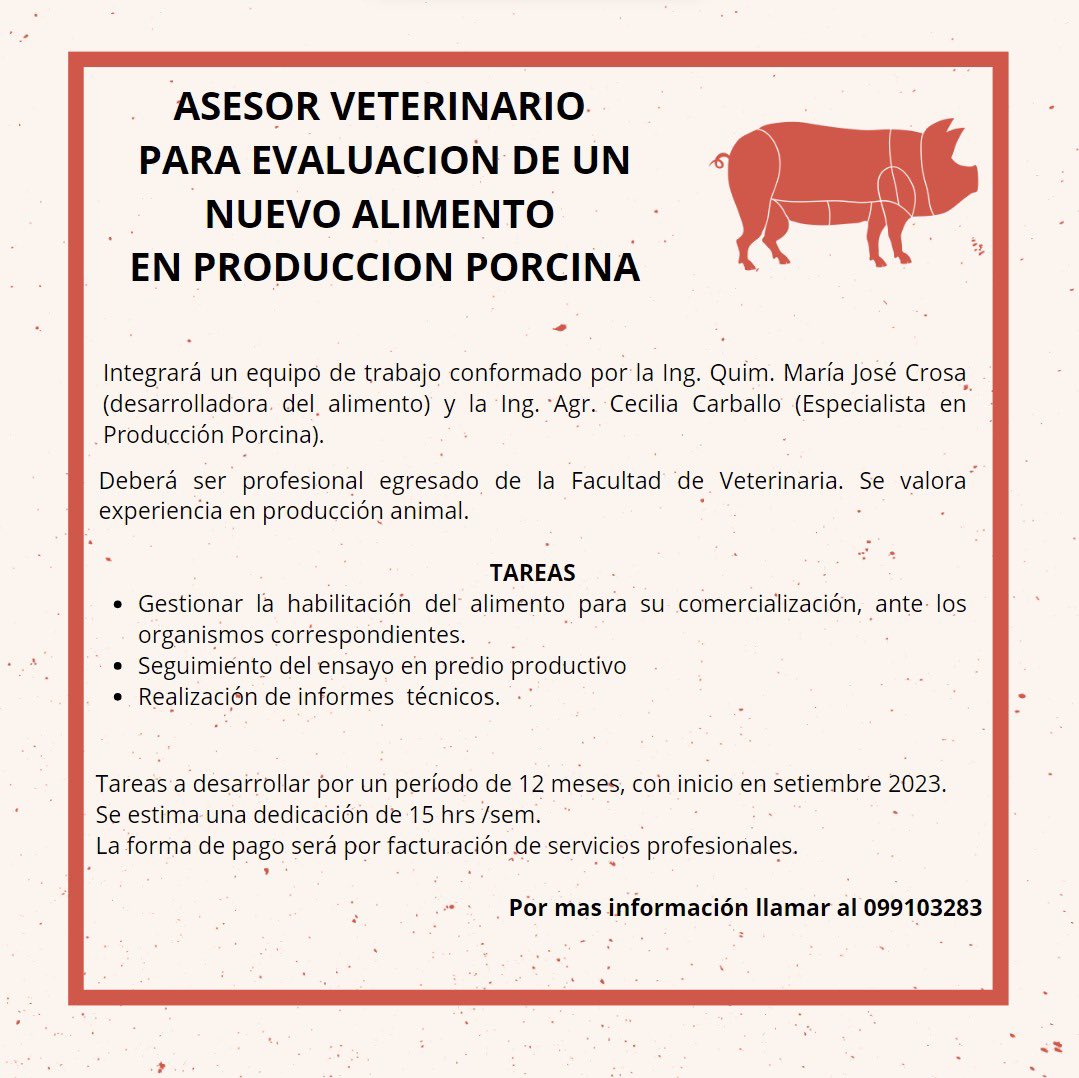 UPC_FAgro's tweet photo. Llamado laboral 👇🏼👇🏼
 
Si te interesa comunícate 099103283 🐽

 @fvetuy @GrupoPorcinoUy https://t.co/KR3sCbjnGf