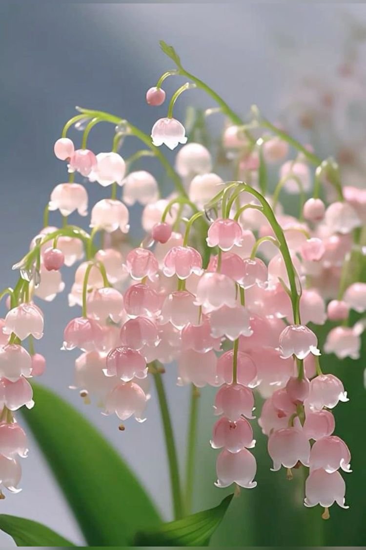 artindetails's tweet photo. lily of the valley flower https://t.co/bQWn80fJ0O