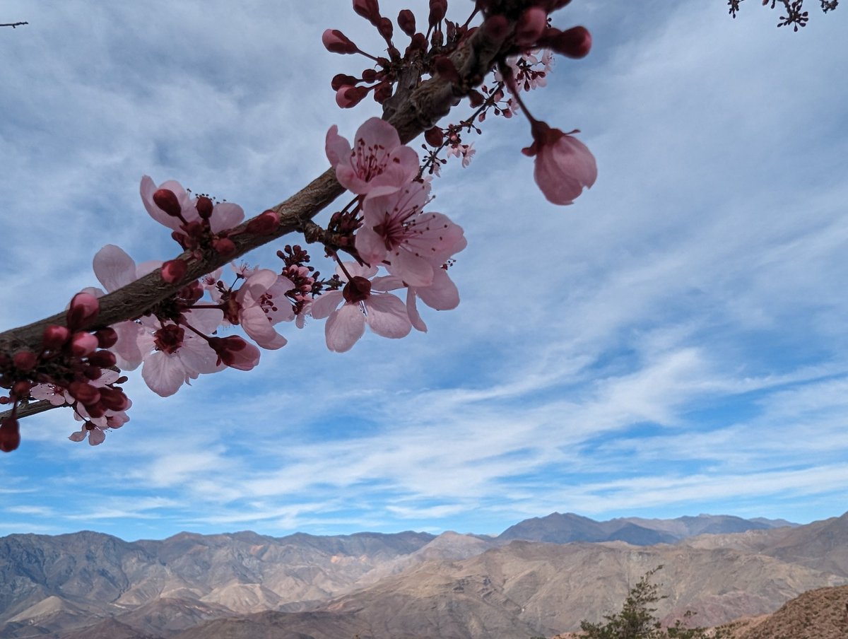 mmatting's tweet photo. Good-bye to Cerro Tololo, Atacama is waiting. #astroambassadors #aceap Thanks to @NOIRLabAstroES for the nice reception! https://t.co/XqH2AbOTXm