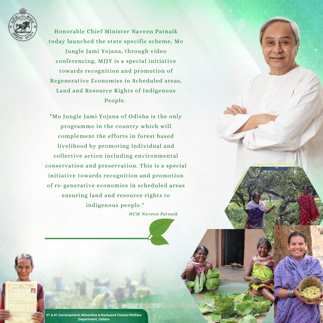 scstdevdept's tweet photo. Honorable Chief Minister Naveen Patnaik today launched the state specific scheme, Mo Jungle Jami Yojana, through video conferencing. 
 #mjjy #junglejami #INDIGENOUS  #FRA #forestright https://t.co/sIJ11R1at4