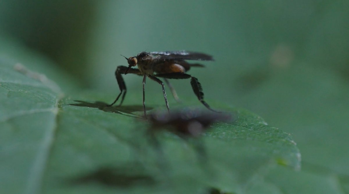 bugsexthedoc tweet media