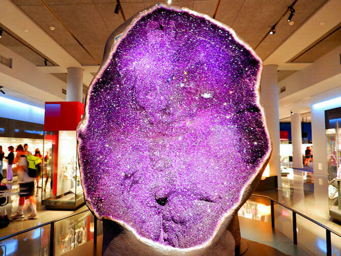 Join us for our next Arts &amp; Culture Bus Trip this time to the Richard Gilder Center for Science, the newest addition to the American Museum of Natural History, NYC.
9/30/2023
twp.woodbridge.nj.us/DocumentCenter…