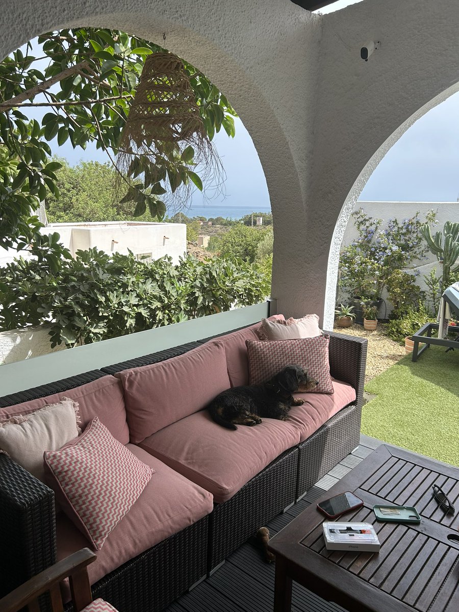 CrispyBacon 🥓 tweet media