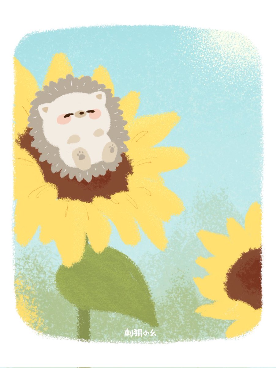 Sunflower are my bed.🌻🦔

#yaoandbu #sunflowerpainting #hedgehogs
#illustration #illust #art #artwork #artoftheday #cuteart  #kawaii #cute #illustrationoftheday
#cuteartwork #cutedrawing #illustrationart 
#illustrationartists
