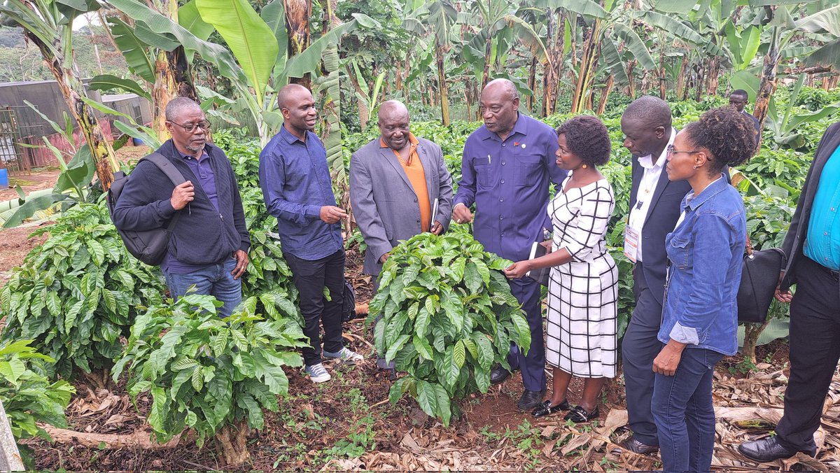 National Coffee Research Institute Uganda (NaCORI) tweet media