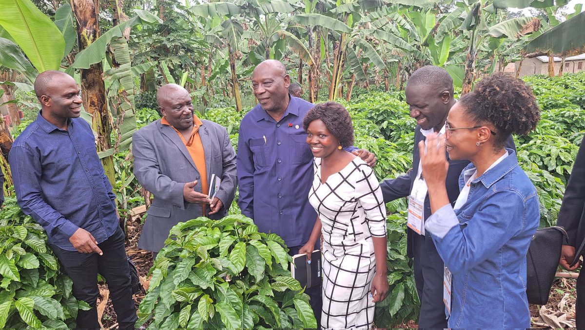 Angola delegates in one of the coffee nurseries learning the different coffee seedling multiplication technologies.