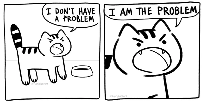 I am the problem