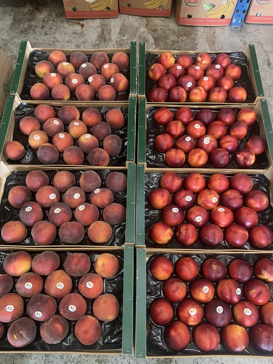 TatwsTrading's tweet photo. Fantastic news we will be Attending Anglesey county Show next Tuesday & Wednesday on Mona Showground come & see the World Famous #Tatws fruit stall for amazing healthy fruit to munch around the Showground ๐ช๐ช๐ช https://t.co/T8YuQc4C7n