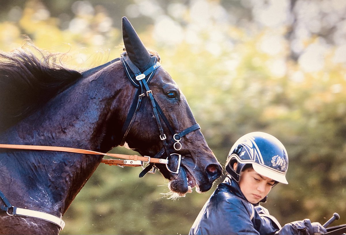 Pendant 15 ans je t’ai photographié chaque année. Merci pour tout Ready Cash !