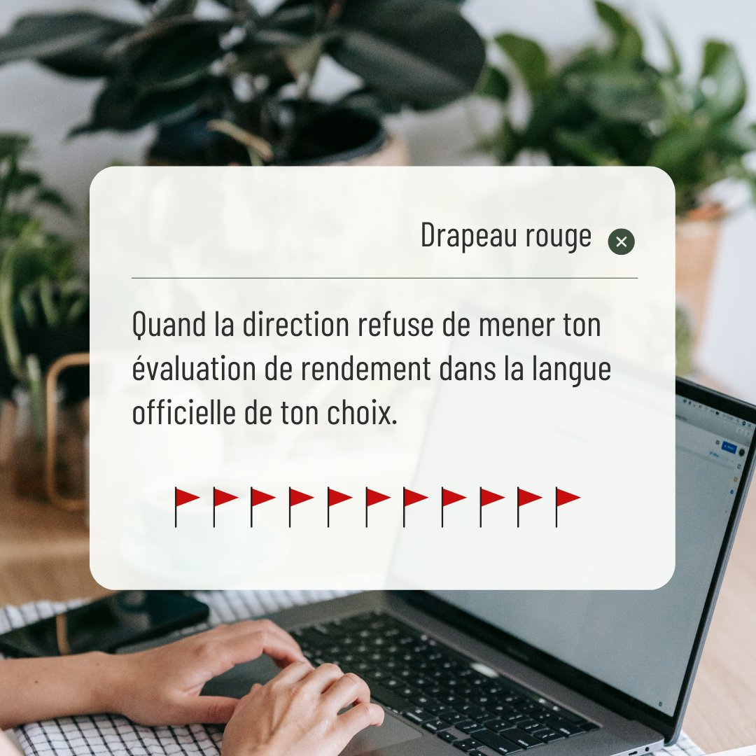 CLOduCanada's tweet photo. En tant que fonctionnaire qui travaille dans une région désignée bilingue, tu as le droit d’obtenir une supervision dans la langue officielle de ton choix. #languesofficielles #droitslinguistiques #fonctionpublique #entrevues #RH #PFETE #EmploisGC https://t.co/pNBYh0jf3Q