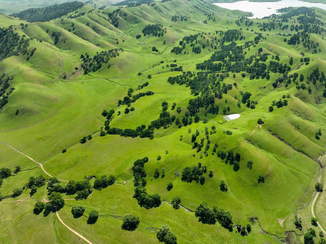 Save Mount Diablo tweet media