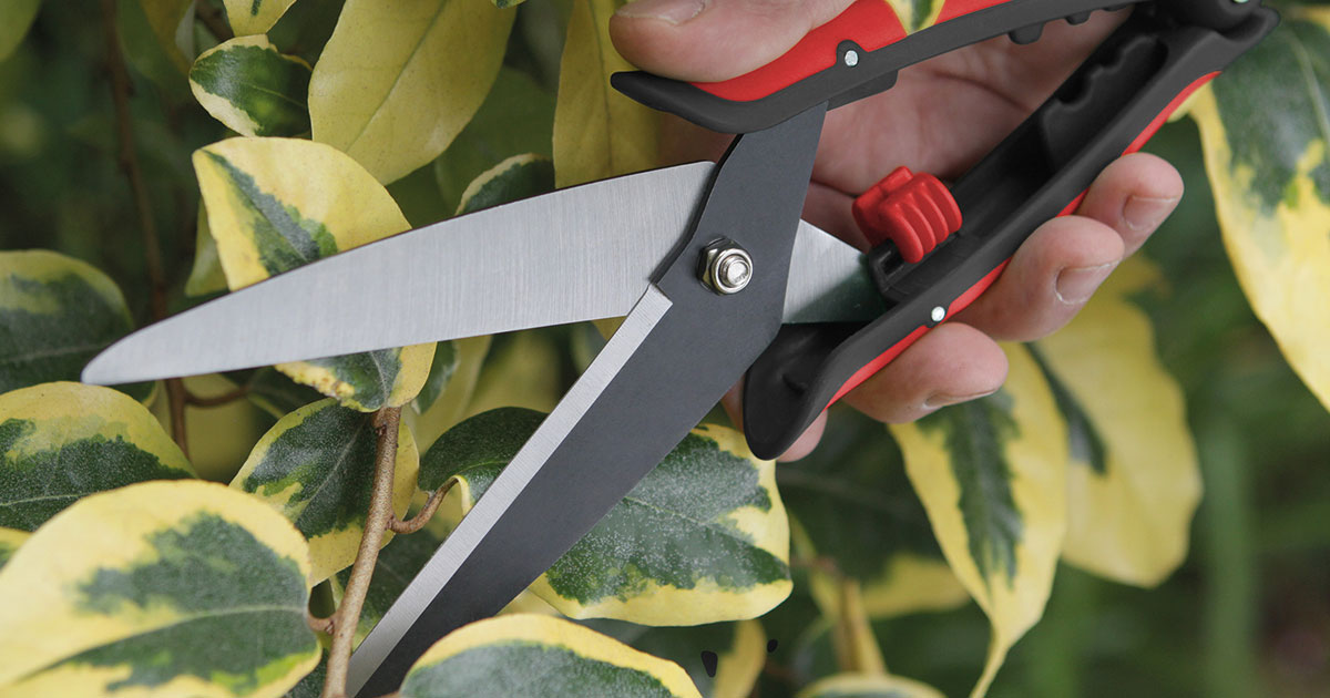 DarlacGardening's tweet photo. From shaping topiary into anything from balls to spirals, to trimming dwarf hedging, heathers or herbs, our Hand Trimming Shear can do it all.
Add a pair to your gardening arsenal today!
https://t.co/UFtMwvHxC5
#darlac #darlactools #gardeninguk https://t.co/L6LPsVJx7H