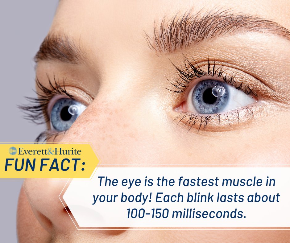 EverettHurite's tweet photo. Did you know this fun fact? On average, you blink 17 times per minute 👁️ https://t.co/k1JNlgDQNc