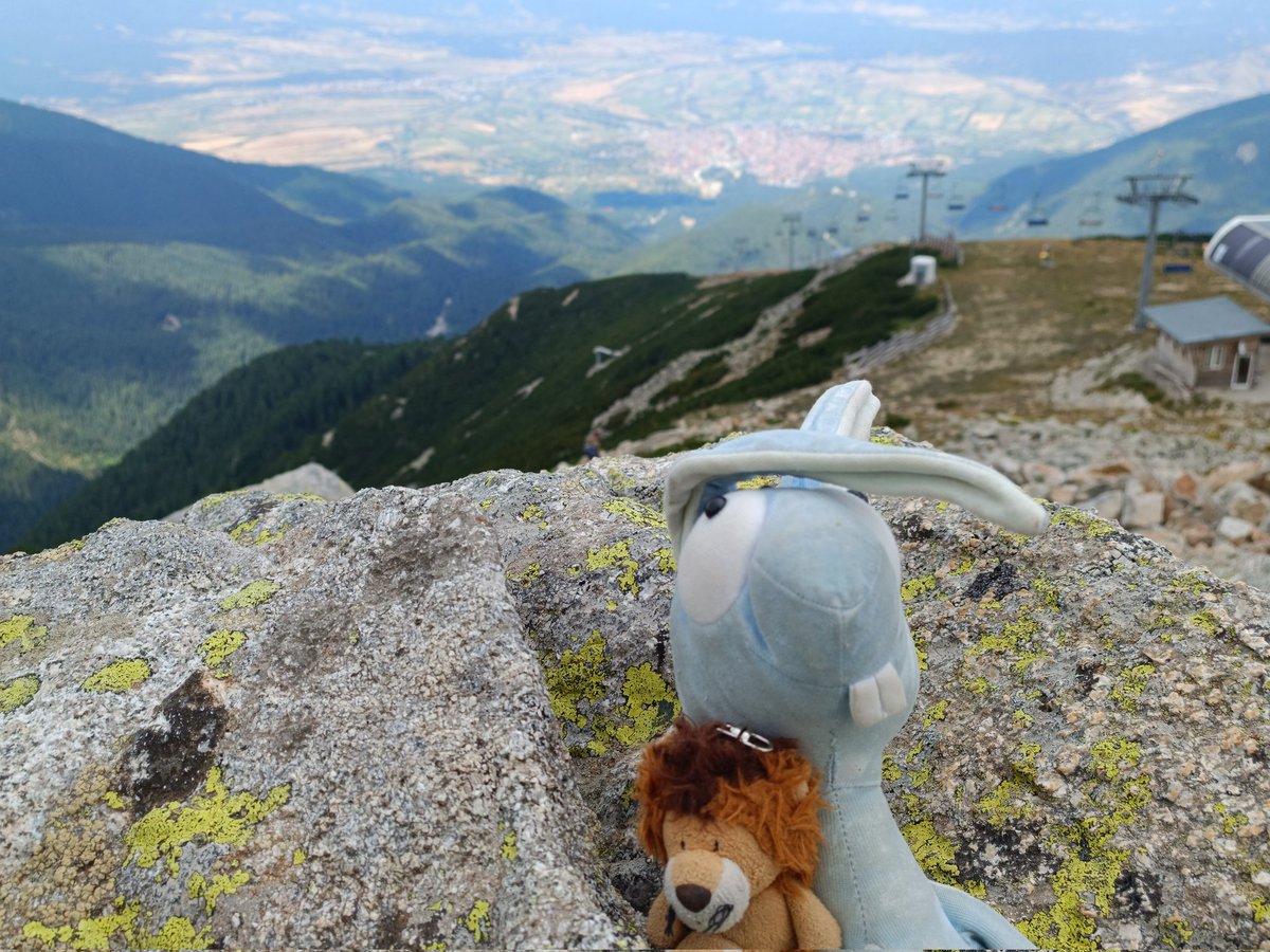 haseinblau's tweet photo. Wir waren heute ganz weit oben in den Bergen. Über 2500 Meter wurde mir gesagt. Ganz schön kalt, aber auch schön viel zu sehen. 😍 https://t.co/nj7bt5pcCB