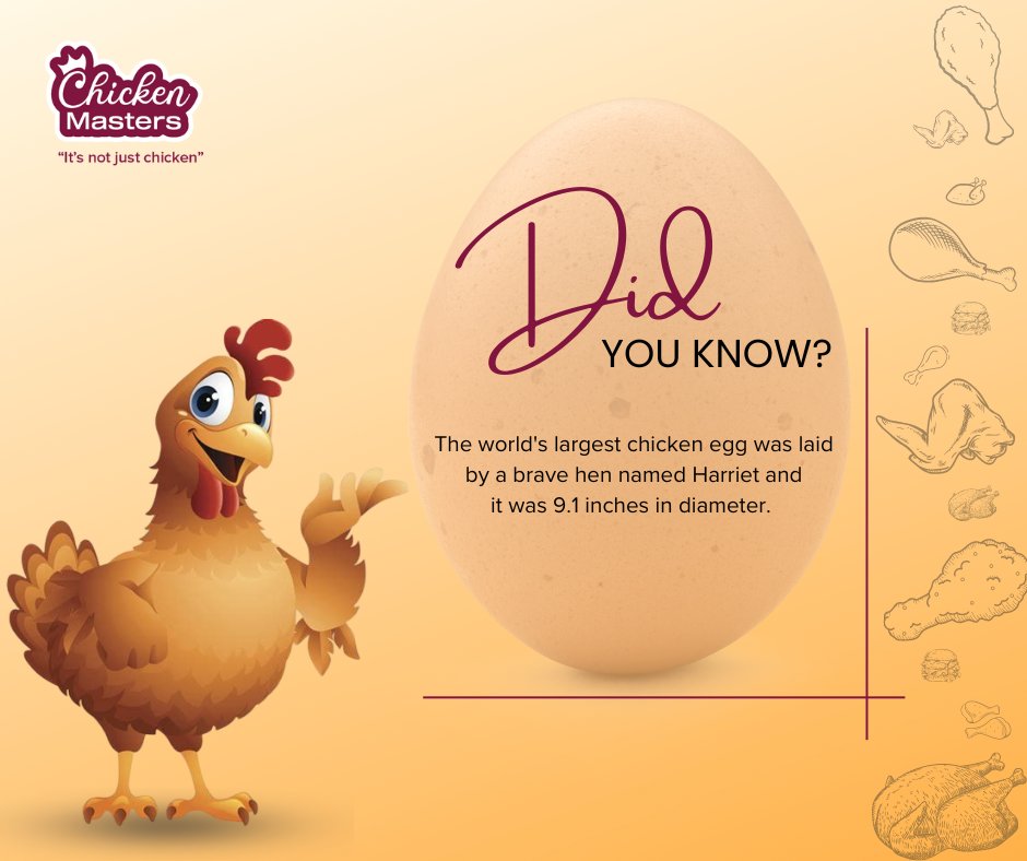 _chickenmasters's tweet photo. Chickens may not clap, but they break records too!🏆 Drop a comment with your chicken fun-facts. #ChickenWisdom
#TheChickenMasters https://t.co/JelJCLu4qP