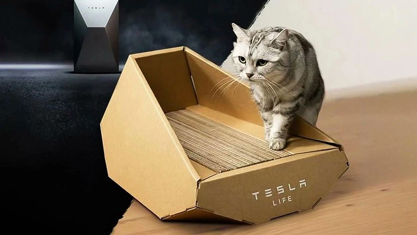 Tesla, Cybertruck'tan ilham alarak kedi yatağı üretti.