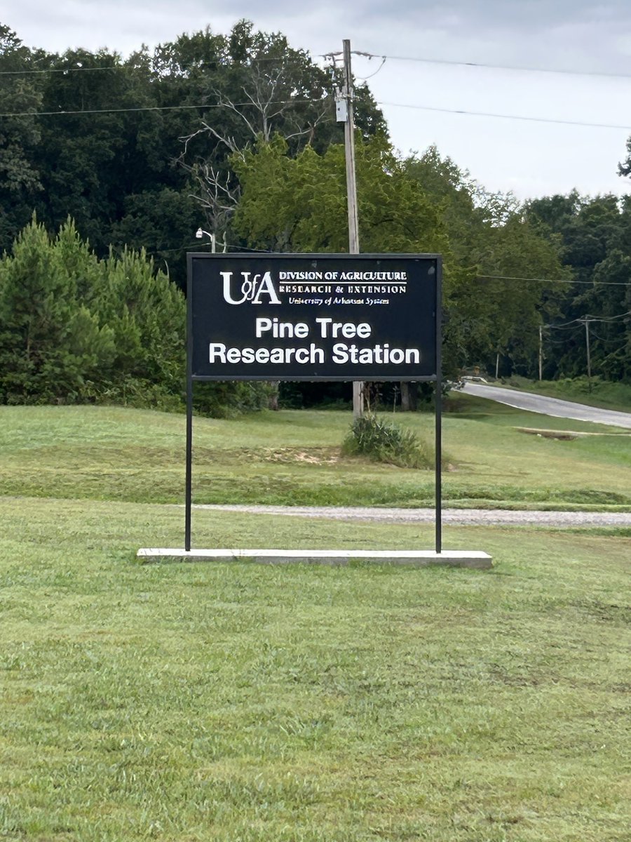 Pine Tree Research Station tweet media