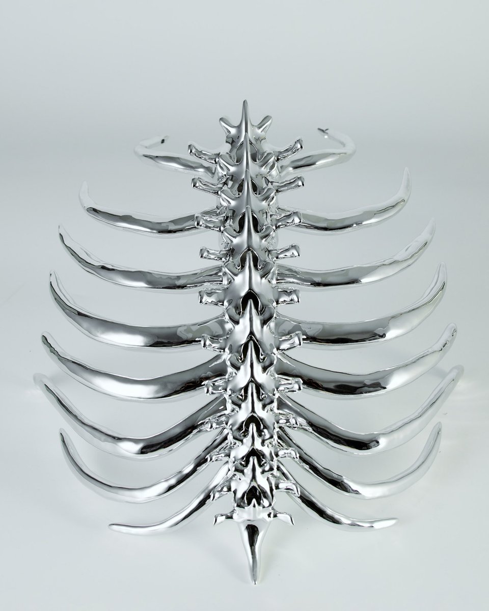 XTENDEDiDENTiTY's tweet photo. Up close and personal with our Skeleton Bra - 3D printed and made custom to fitโ
Explore our Phygital collection on our website on https://t.co/KWxKHn1Snh
#3Dbra #bra#helmet #skeleton#3dprinted #custompiece #3dcustom https://t.co/M75d1Qn1m8